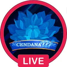 CENDANA777 - Petualangan Arcade yang Seru dan Menghibur